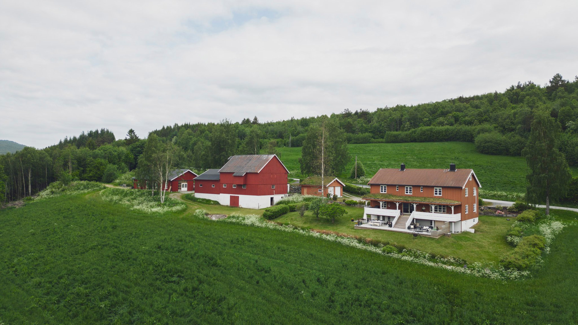 Levika i Ålvundfjord – gårdstun med rødt fjøs og hovedhus i grønt kulturlandskap